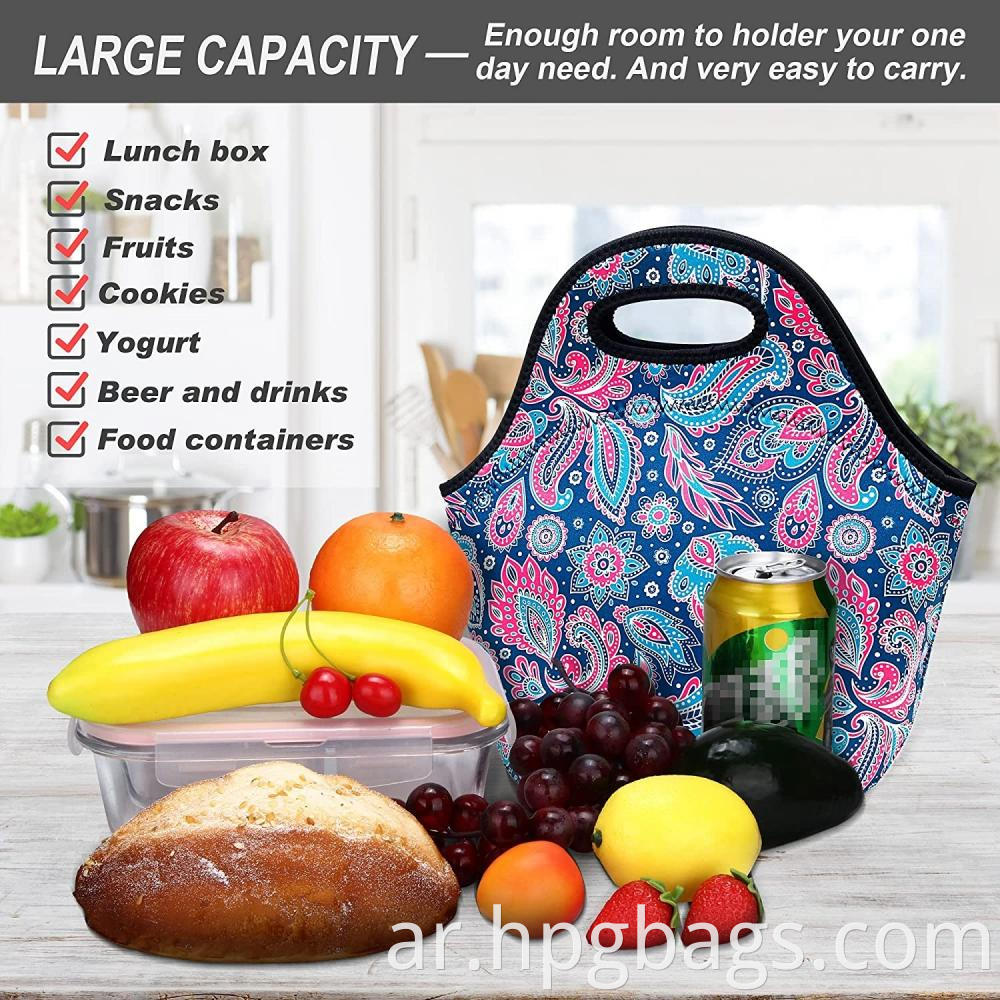 Insulated Lunch Tote Bags